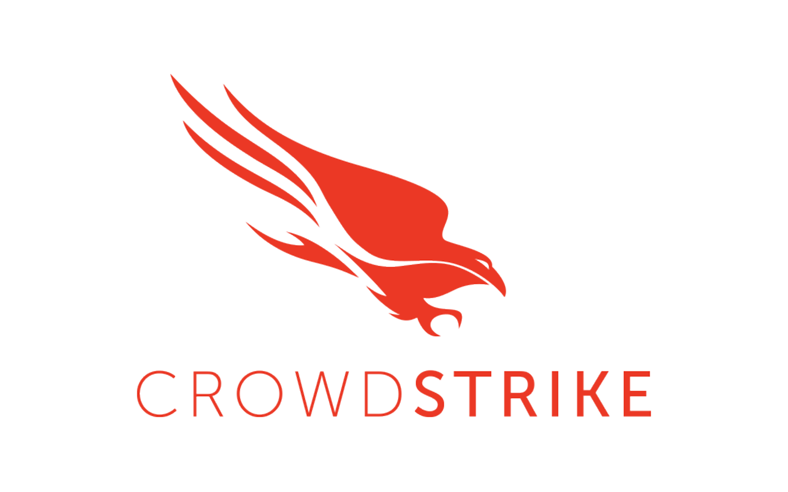 Corwdstrike Logo